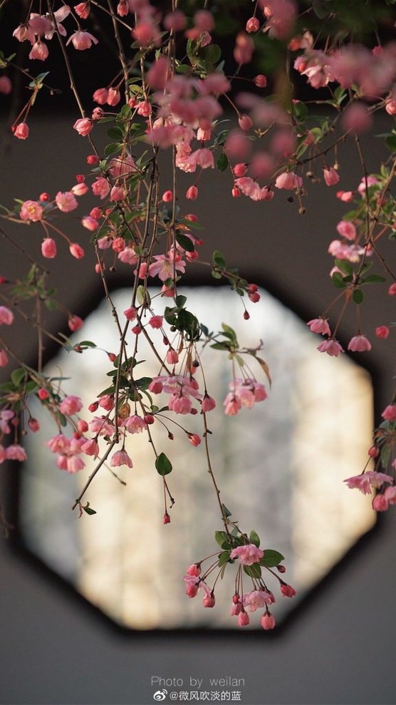 307010081f40e6f324a80259a883f66a