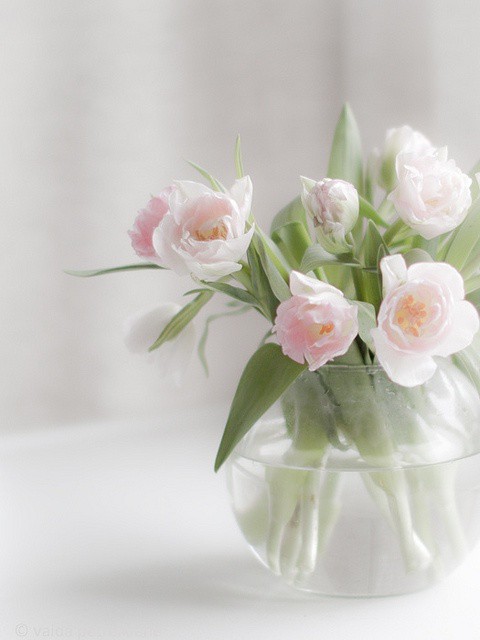 64cc7228667f1a151710589d069f445d