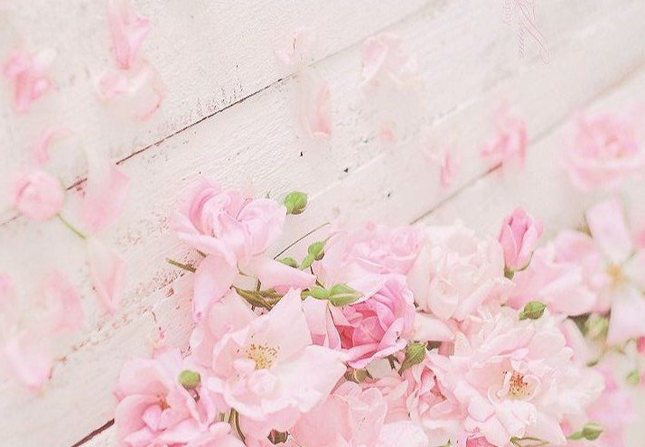 8e395144c1409e23929e01daed53ea5b