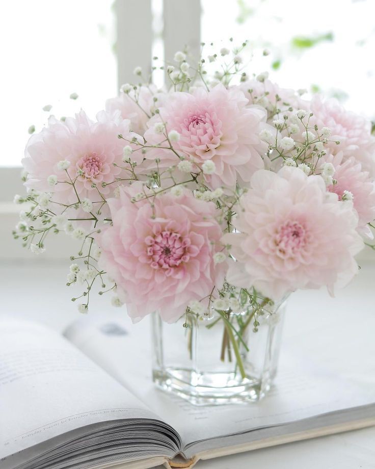 b091b7369adf1b91f31e70efce1ace3c